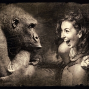 Anaxco Blog Beitrag Bild Affe und Frau IT-Services IT-Dienstleister Google Logistik